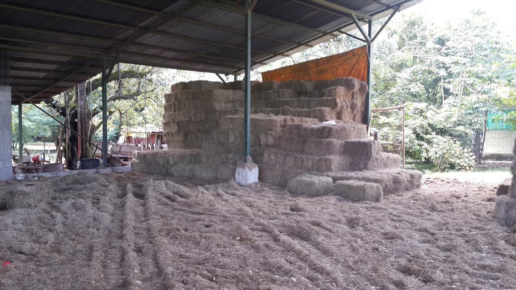 Rancho Curubande Lodge Liberia Kültér fotó