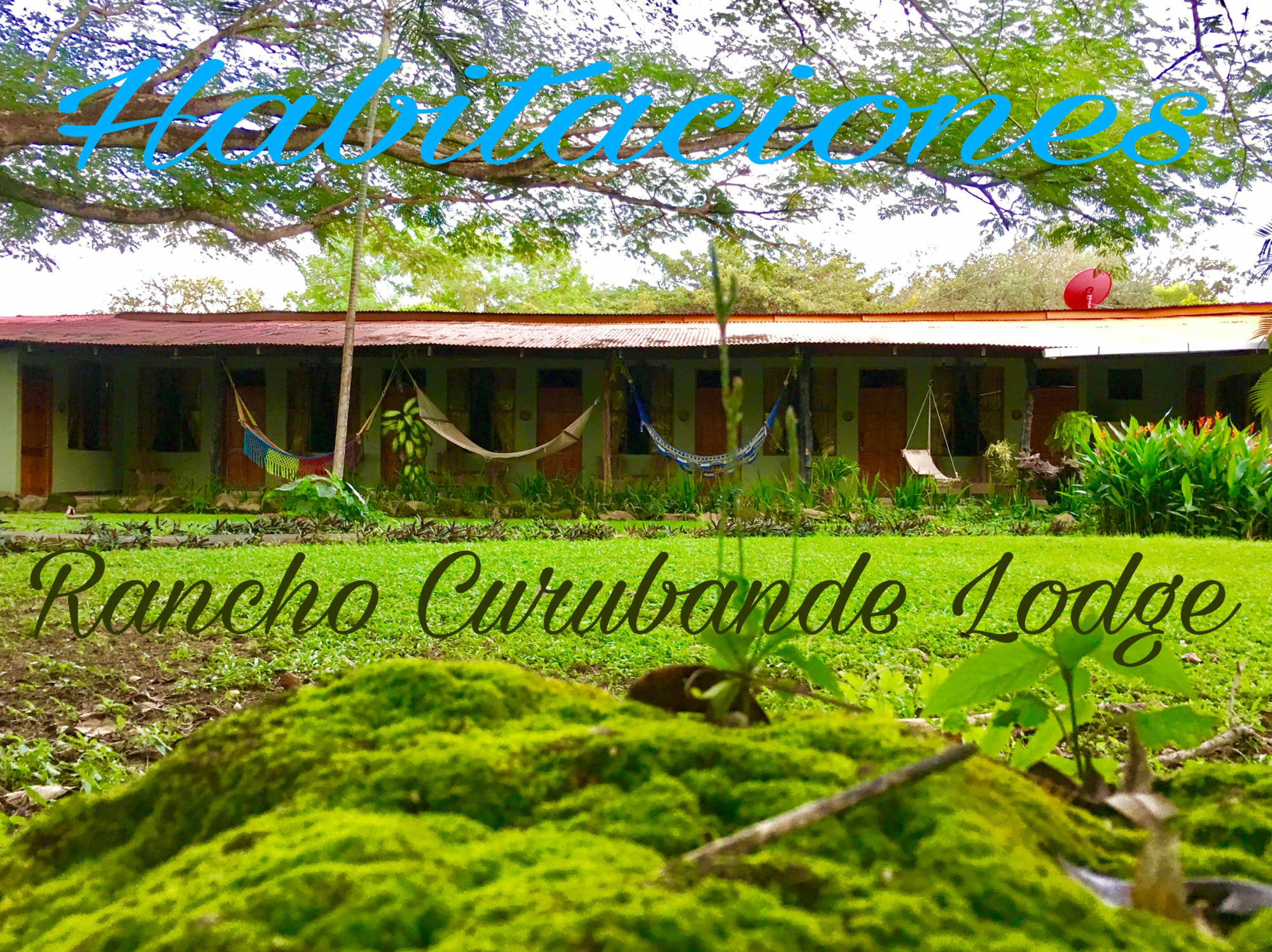 Rancho Curubande Lodge Liberia Kültér fotó