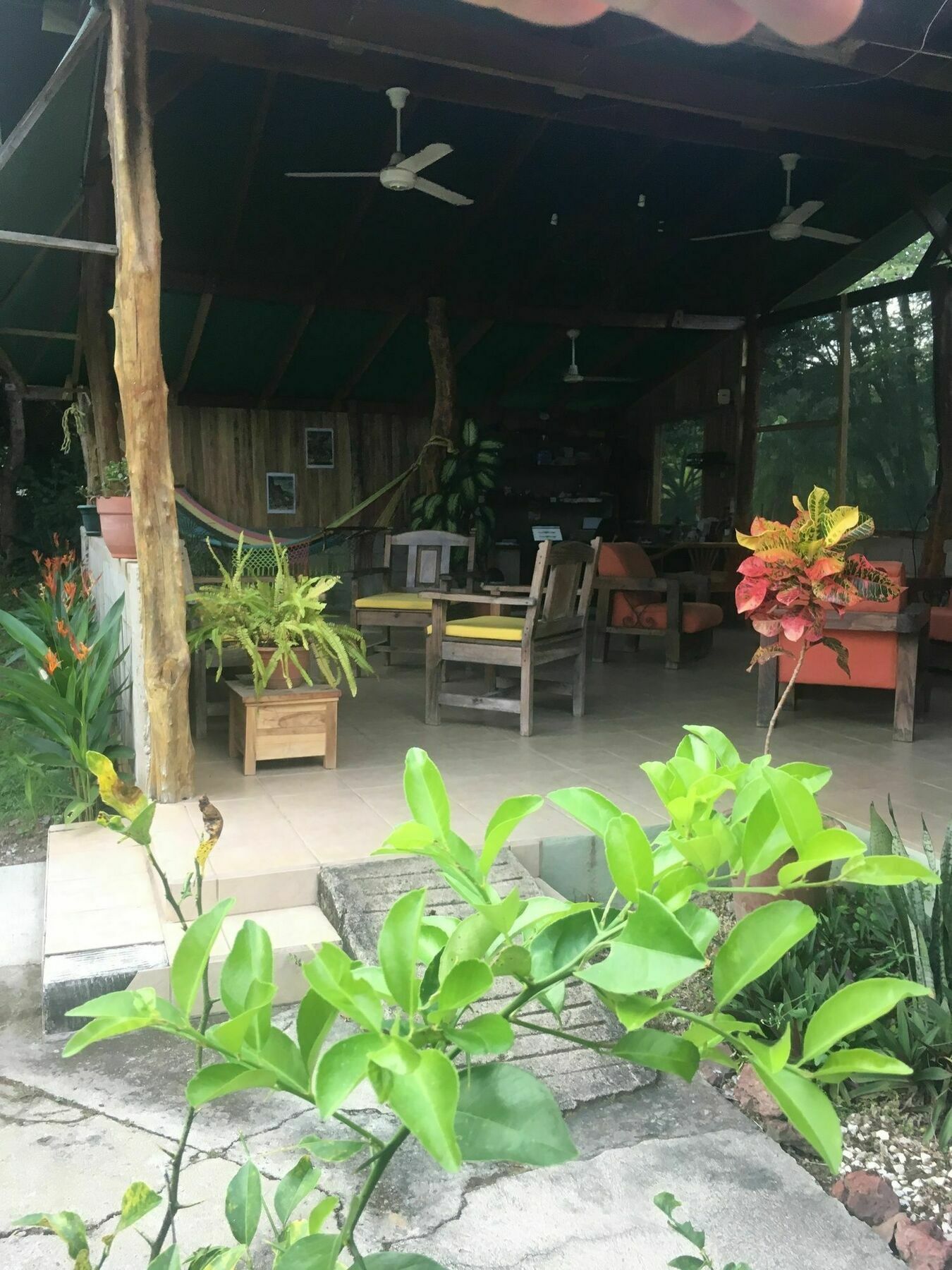 Rancho Curubande Lodge Liberia Kültér fotó